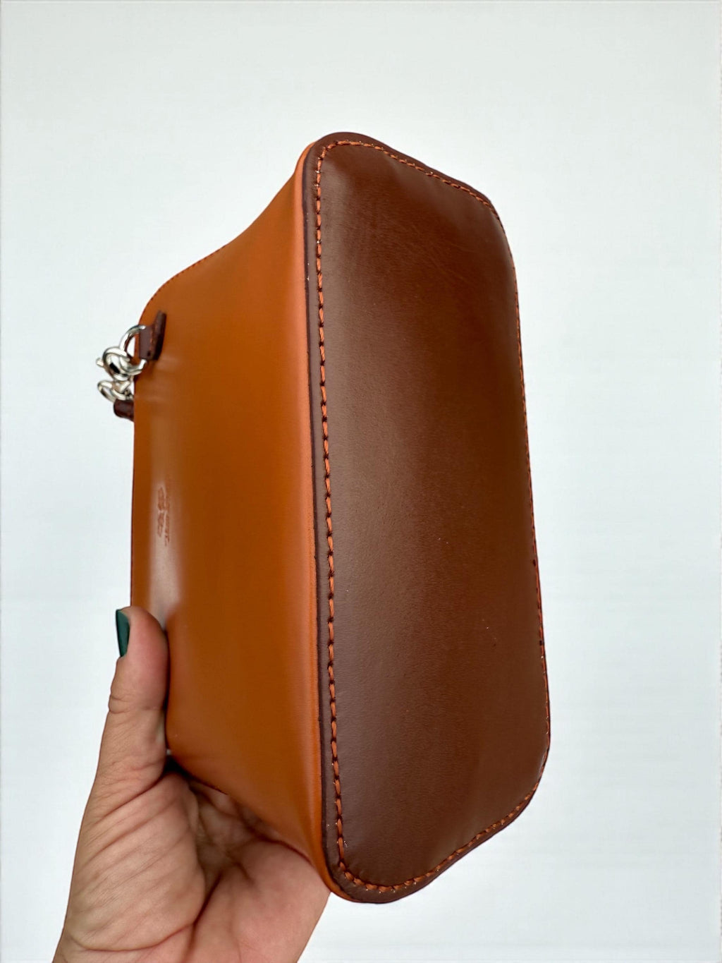 Camel & Brown  Structured Mini Bag