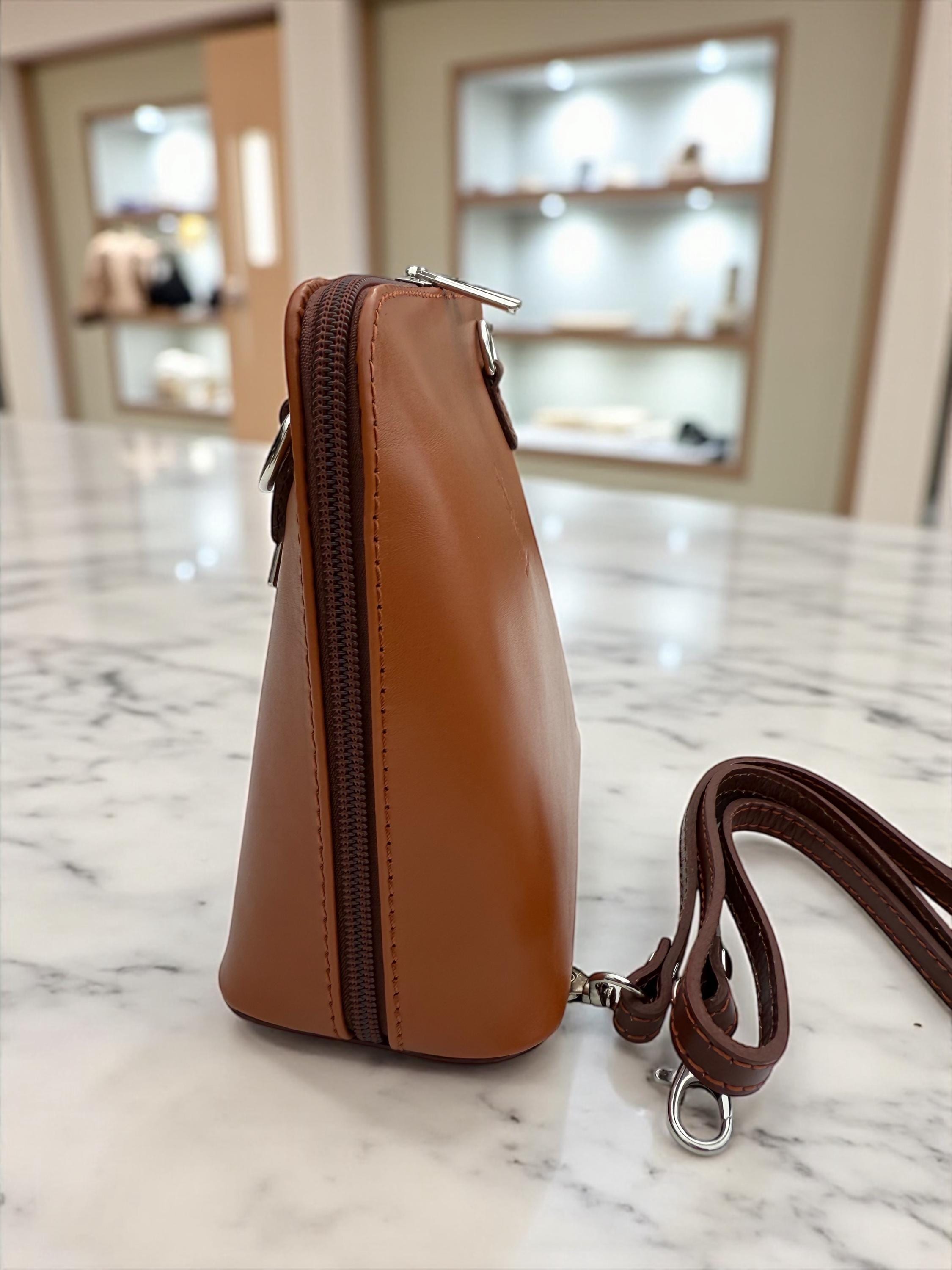Camel & Brown  Structured Mini Bag